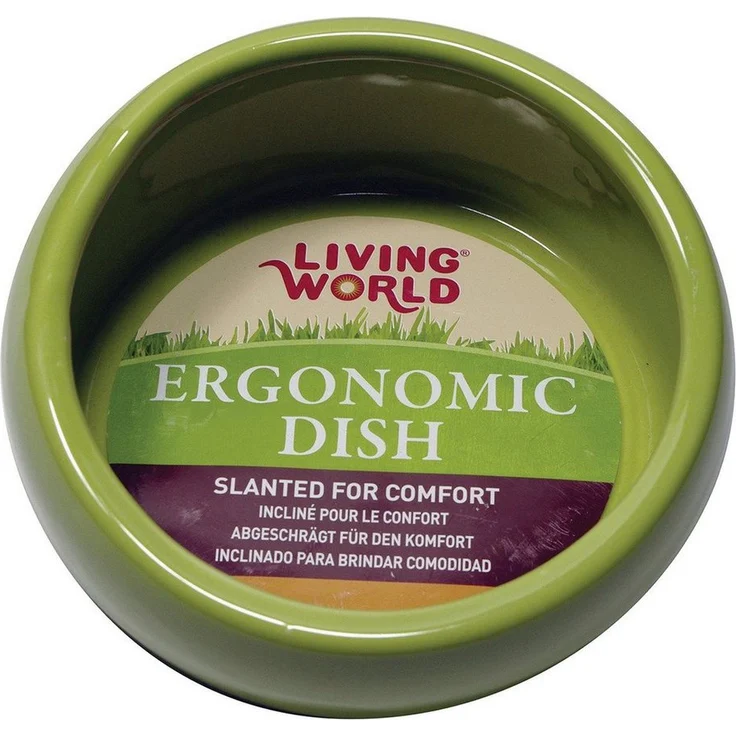 Living World Green Futternapf Ergonomischer Keramiknapf grün