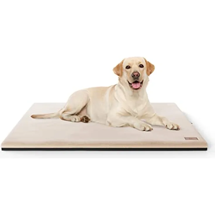 Knuffelwuff Orthopädische kuschelige Hundematte Berrith aus weichem Kaninchenfell-Imitat 100x70cm Beige - Hundekissen für große, mittelgroße und kleine Hunde - Für Zuhause, Auto, Wohnmobil, Wohnwagen
