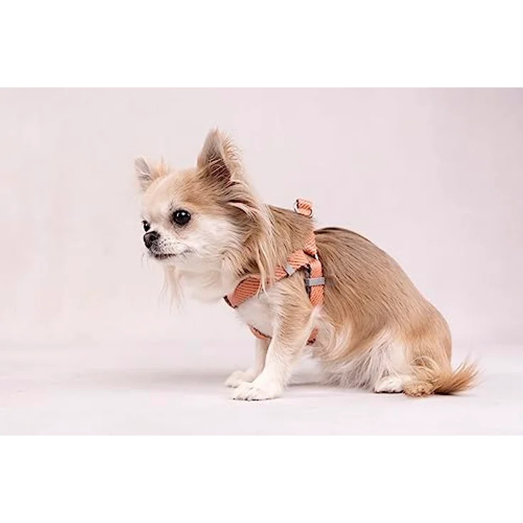 Norwegisches Geschirr, Elly, Lachsrosa, XS, 35-45 cm, 15 mm – Bild 3