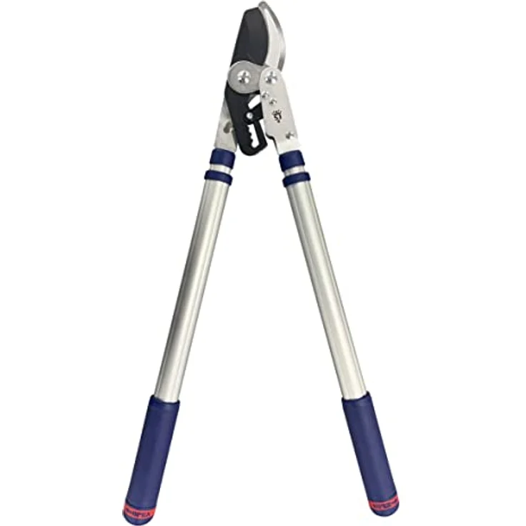 Spear und Jackson Razorsharp Teleskopische Bypass-Astschere mit Ratschenfunktion, 45,7-76,2cm – Bild 2