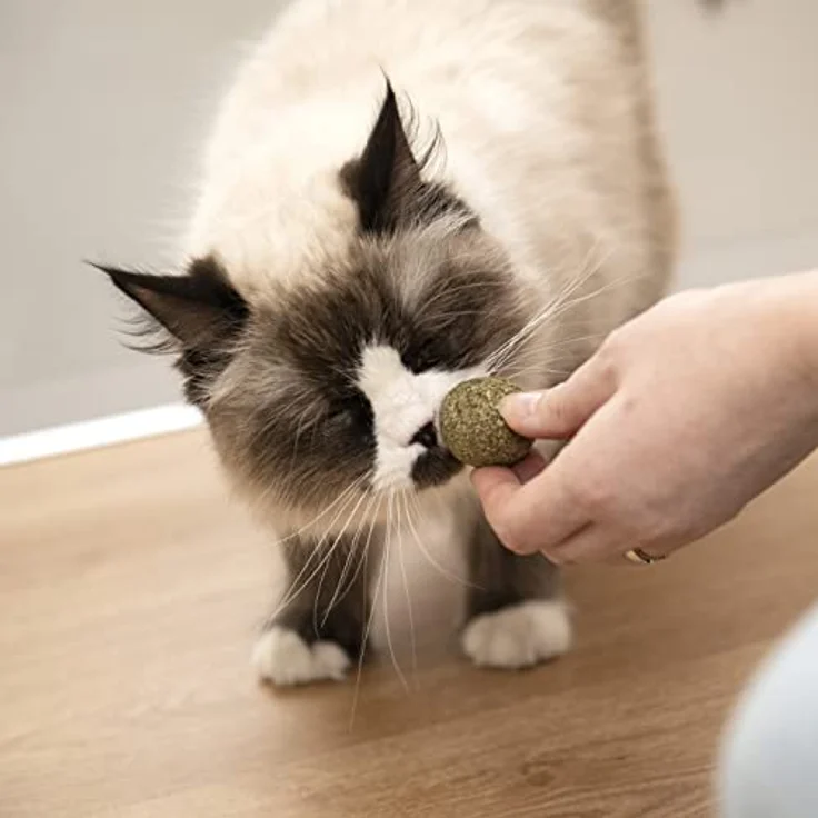 KaraLuna 3X Katzenminze Ball I Katzenminze Spielzeug aus 100% natürlicher Katzenminze getrocknet & gepresst I Katzenspielzeug Katzen Spielzeug Catnip Balls Katze Beschäftigung Fun Ball Katzen – Bild 5