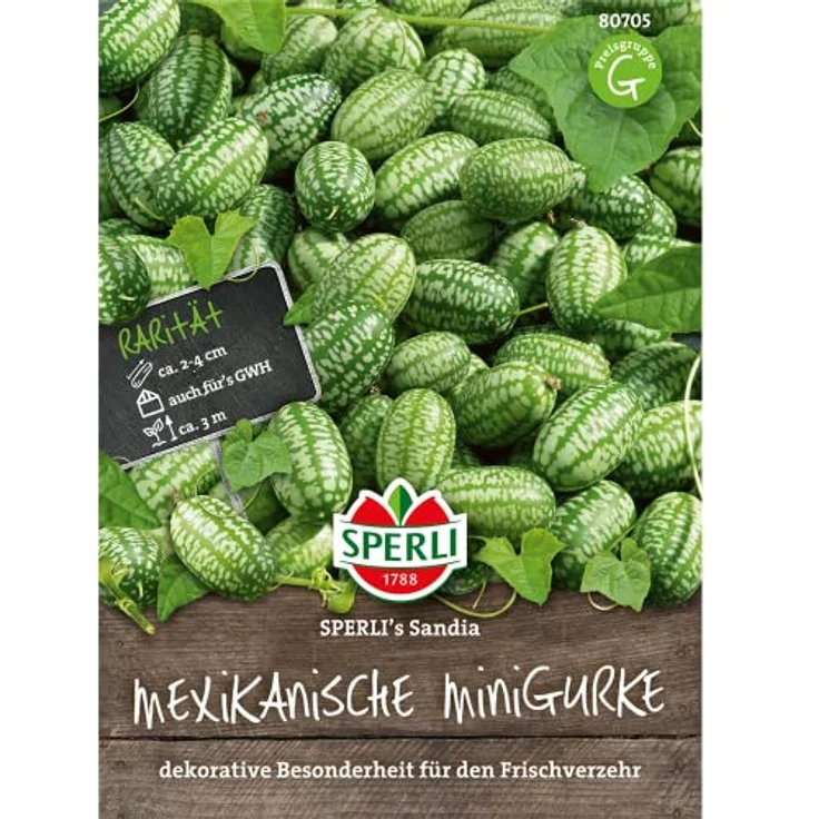 Sperli Mexikanische Minigurke SPERLING?s Sandia – Bild 2