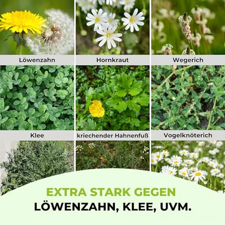 TerraUno Rasendünger mit Unkrautvernichter, extra stark, 5 kg für 250 m², 100 Tage Langzeitwirkung gegen Löwenzahn und Klee für saftiges Grün im Frühjahr & Sommer – Bild 5