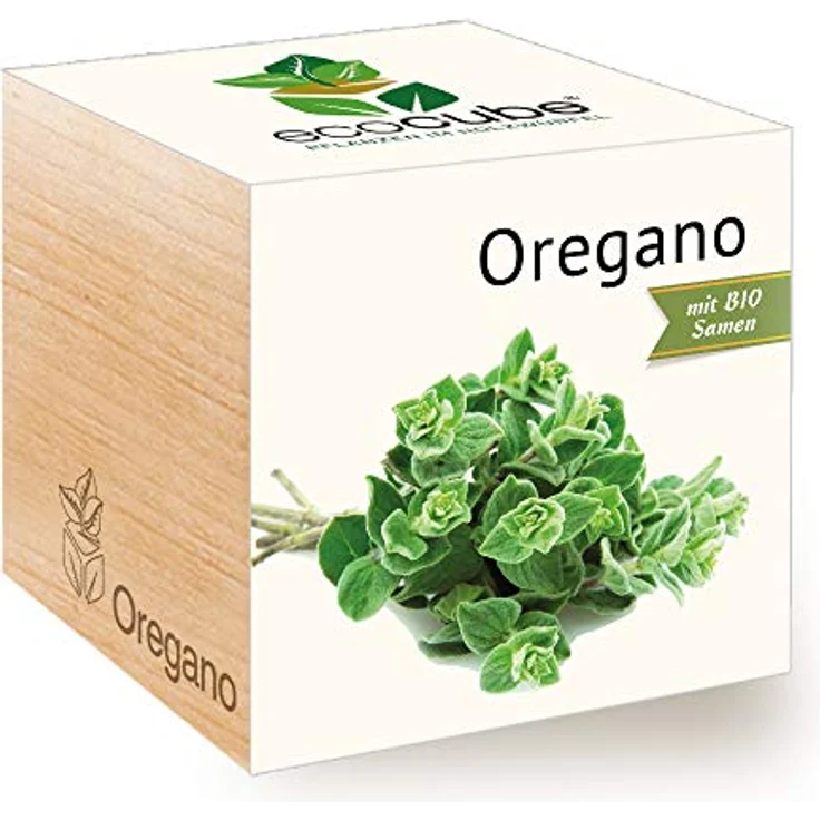 Feel Green Ecocube Oregano, Bio Samen Anzuchtset im Holzwürfel, 100% Eco Friendly, Made in Austria – Bild 1