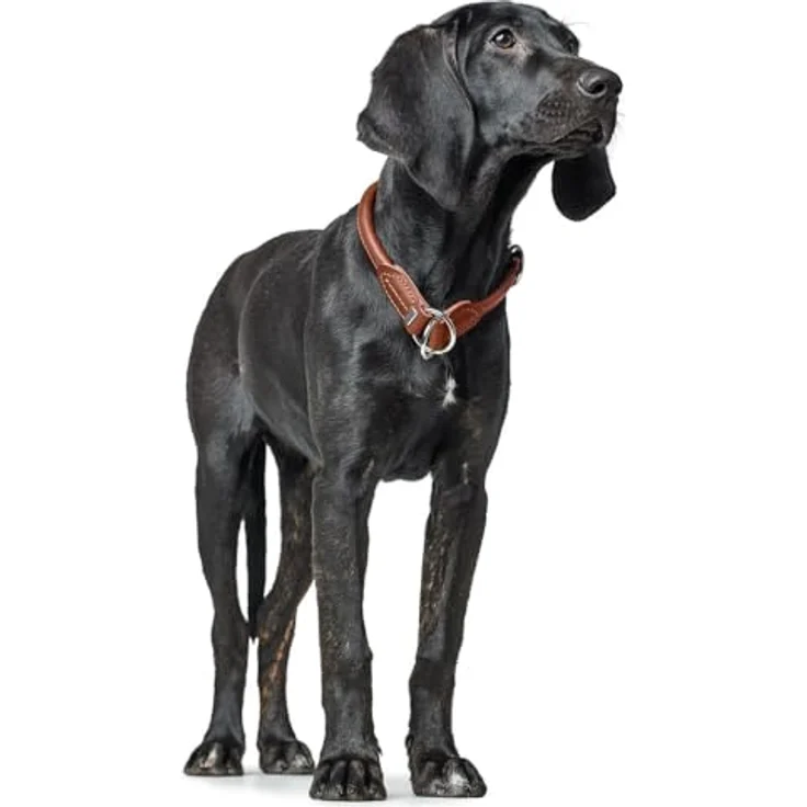 Hunter Tierbedarf Hunde-Halsband Dressurhalsung Round & Soft Canadian Up schwarz - Premiumleder, fellschonend, Made in Germany – Bild 5