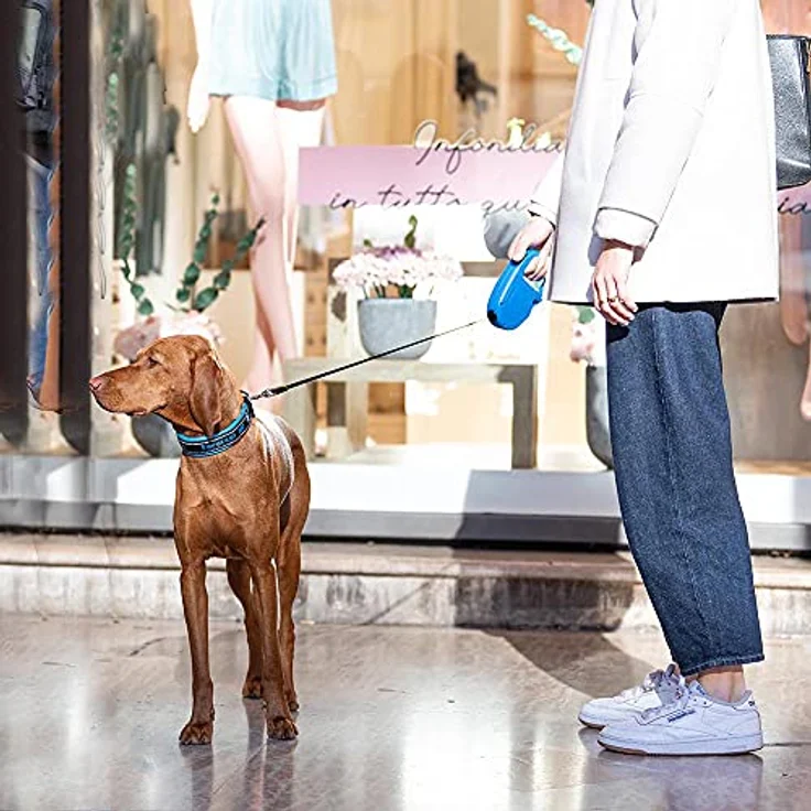 Ferplast Hundeleine Flippy ONE, Rollleine für mittelgroße Hunde bis 25 kg, ausziehbares Gurtband bis 5 m, ergonomischer Knopf, hellblau – Bild 3