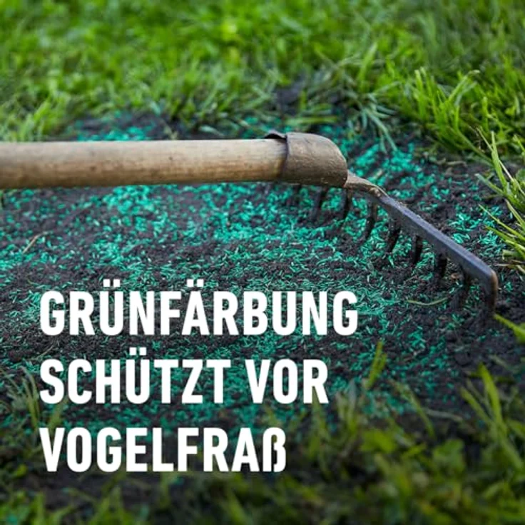 COMPO SAAT® Strapazier-Rasen 2 kg für 100 m² – Bild 5