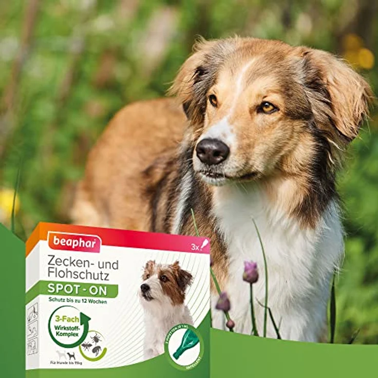 Beaphar Zecken- und Flohschutz SPOT-ON 3 x 1 ml für kleine Hunde bis 15 kg – Bild 4