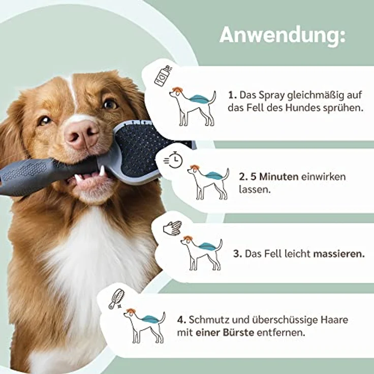 Amusi Tiershampoo Spray für Hunde, hypoallergen gegen Juckreiz, pflegt und beruhigt, 250 ml, vegan, Flohshampoo – Bild 5