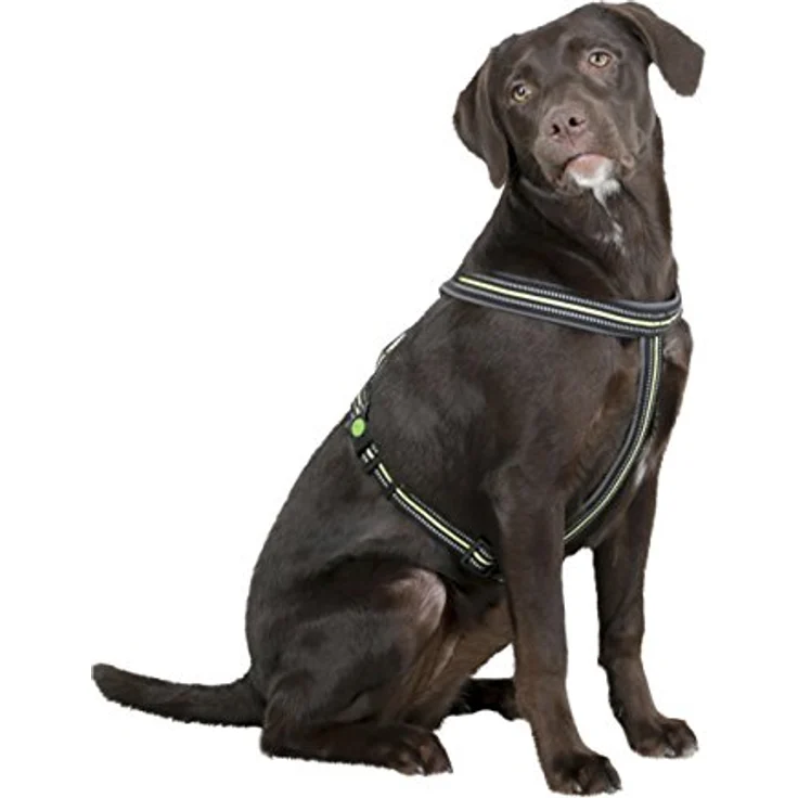 flexi 80235 Geschirr Xenos 18mmx40-60cm, schwarz/neongelb, 0.12 kg – Bild 3