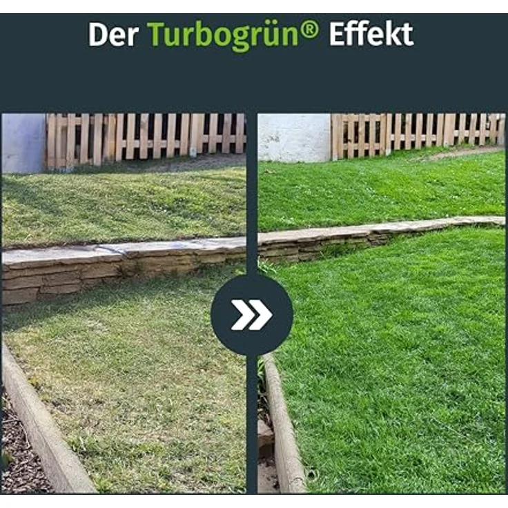 TURBOGRUEN Herbstrasendünger 5 kg, mineralischer Dünger mit Kalium für winterfesten Rasen, einfache Anwendung mit Handstreuer – Bild 2