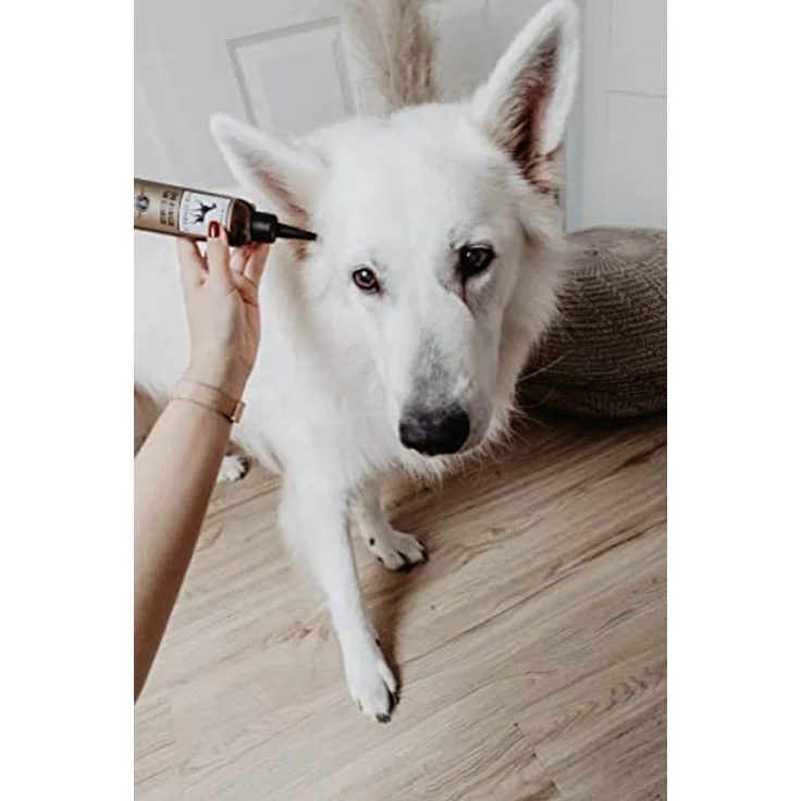 Ohrreiniger für Hunde - löst Verschmutzungen und lindert Juckreiz, mit Mikrosilber und Zink, vegan, OHR-REINIGER von LILA LOVES IT, 100 ml – Bild 3
