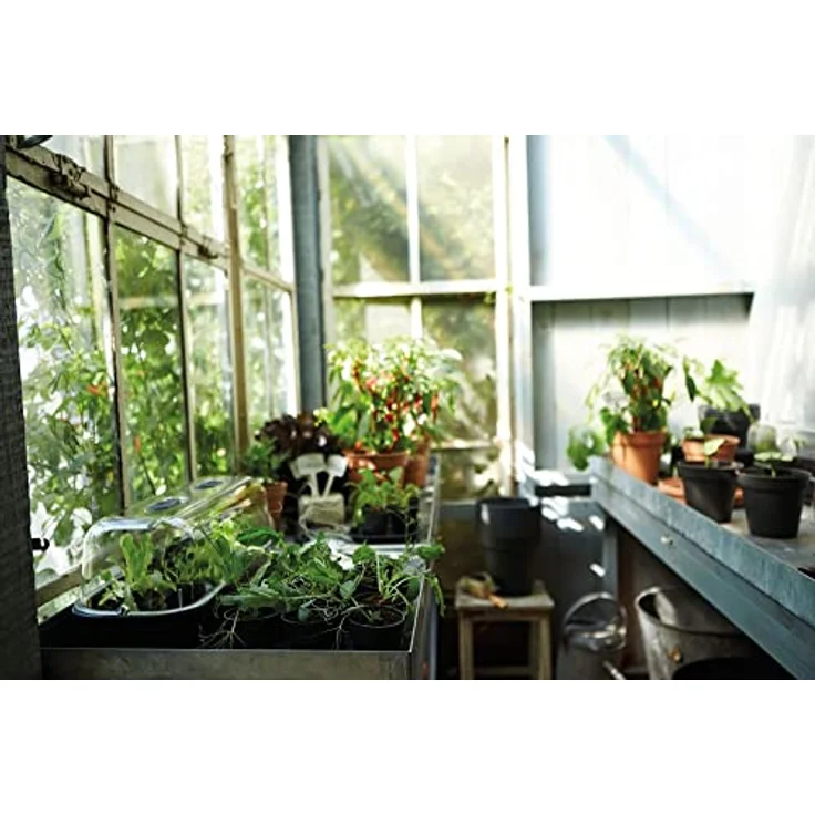 elho Green Basics Anzuchttopf 8 - Growpot für Züchten und Ernten - Ø 7.5 x H 12.0 cm - Schwarz/Living Schwarz – Bild 4