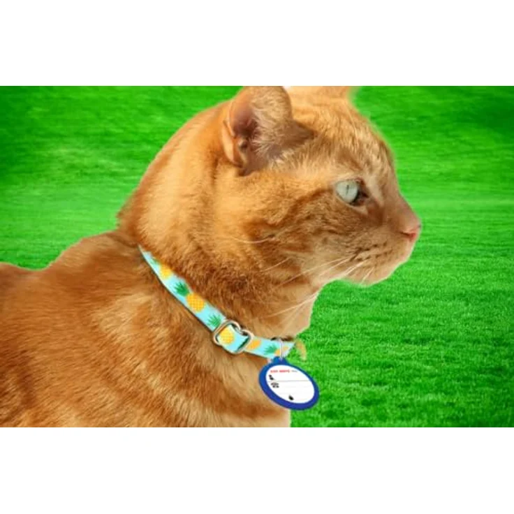 CAT MATE Katzenklappe Elektronische ID-Marke für Katzentür Elite, sicherer Zugang für Katzen, integrierte Namens- und Adressbeschriftung – Bild 3