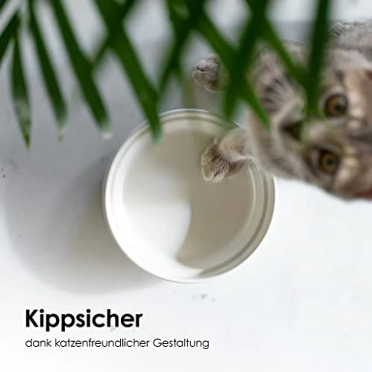 LucyBalu® Katzennapf aus Porzellan | Hochwertiger Futternapf & Wassernapf für Katzen | Porzellan Fressnapf & Trinknapf Katzen | Katzenfutter Porzellan Napf | Katzen 2er Napfset | Seidenmatt Weiß – Bild 4