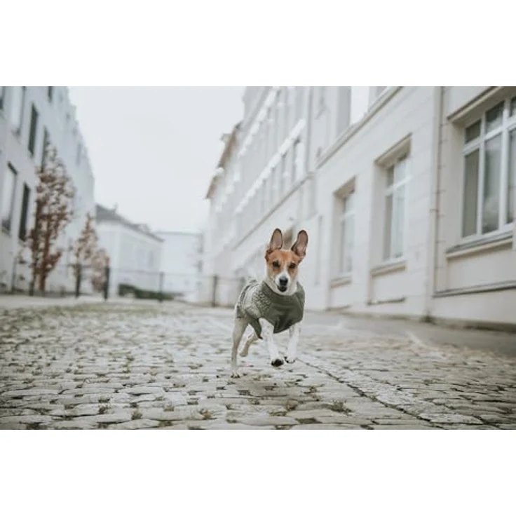 Hunter Tierbedarf Hundepullover Malmö khaki, klassisches Zopfstrick-Muster für wohlige Wärme – Bild 6