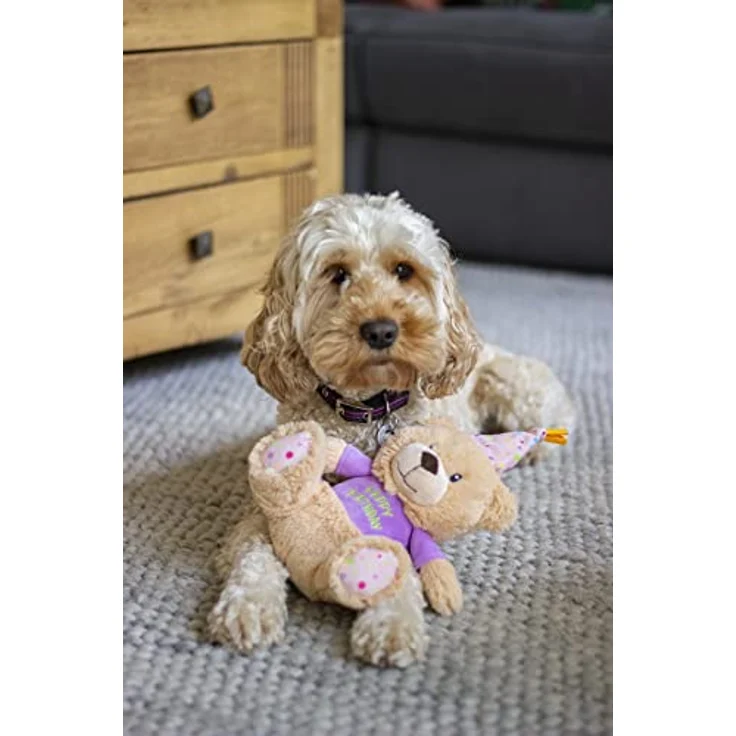 Rosewood Chubleez Bonnie Birthday Beer, Hundespielzeug – Bild 6