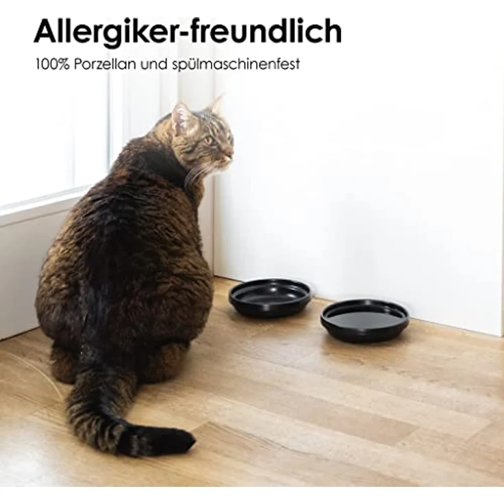 LucyBalu® Katzennapf aus Porzellan | Hochwertiger Futternapf & Wassernapf für Katzen | Porzellan Fressnapf & Trinknapf Katzen | Katzenfutter Porzellan Napf | Katzen 2er Napfset | Seidenmatt Weiß – Bild 3