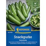 Kiepenkerl Salatgurke Salamanda F1, Snackgurke mit dunkelgrüner, glatter Schale, ertragreich und robust, für Freiland und Gewächshaus