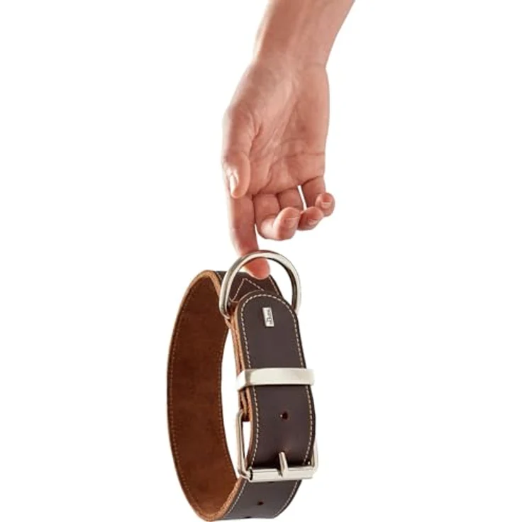 HUNTER Hundehalsband Aalborg Special, Dunkelbraun, stark gefettetes Leder, robust & strapazierfähig, 61-71 cm Halsumfang, Made in Germany – Bild 5