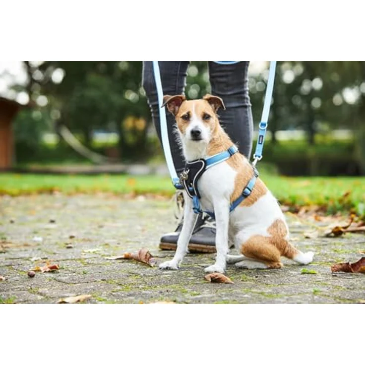 Wolters Hunde-Geschirr Professional Comfort, ergonomisches Geschirr mit reflektierenden Nähten und weicher Neopren-Polsterung, Größe 4 (Bauchumfang 45-50 cm) – Bild 3