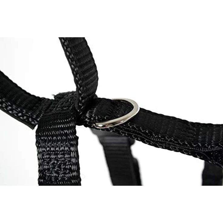 Karlie Art Sportiv Sicherheitsgeschirr, stufenlos verstellbar, Nylongurte mit Neopren, für Brustumfang 29-40 cm, schwarz – Bild 5