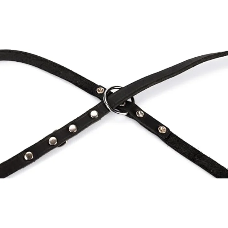 Karlie Rodeo (XS, S, Hund, Spazieren), Halsband + Leine – Bild 3