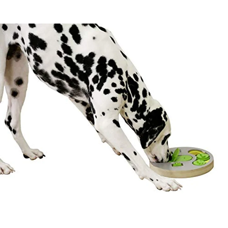 Kerbl Maxi-Pet 80813 Denk- und Lernspielzeug Face, Durchmesser 23 cm – Bild 4