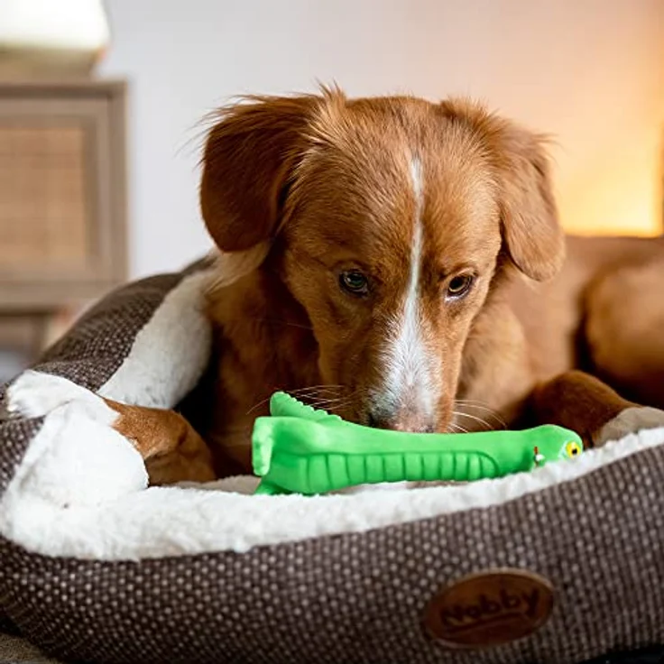 Nobby Latex Lulatsch Krokodil Latex, 18 cm – Bild 2