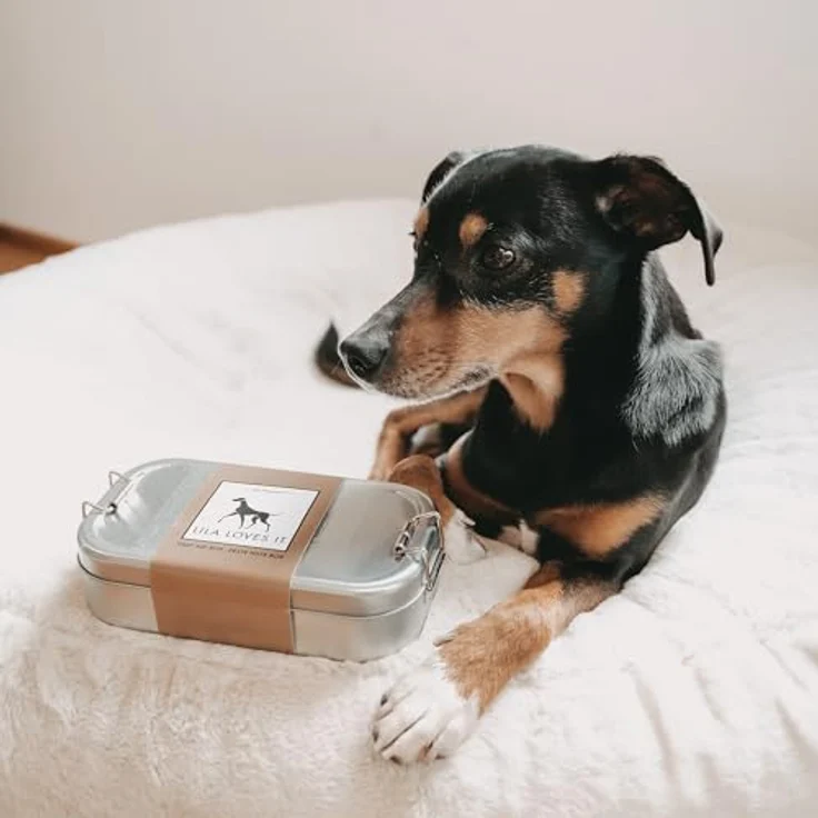 Erste-Hilfe-Set für Hunde - Verbandskasten mit First Aid Balsam und Silberspray, Verbandsmaterial, Wundkompresse und Heftpflaster-Rolle, FIRST AID BOX von LILA LOVES IT – Bild 4