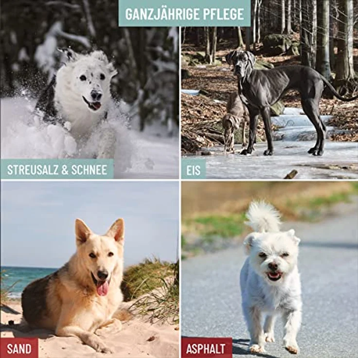ReaVET Pfotenbalsam Hund 120ml für weiche Hundepfoten - Natürliche Hunde Pflege mit Sheabutter, Kokosöl & Bienenwachs - Pfotenpflege Katze, Pfotenschutz Creme - Zubehör Winter & Sommer – Bild 2
