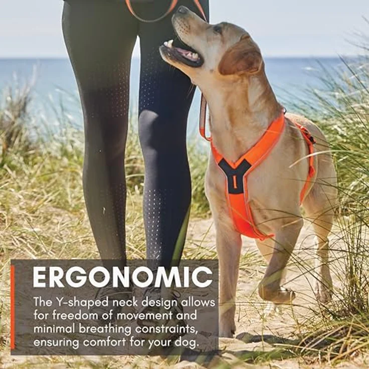 Non-stop dogwear Line Harness 5.0, Gepolstertes Hundegeschirr für kleine, mittlere und große Hunde, ergonomisch mit mehreren Leinenbefestigungspunkten, Größe 5 – Bild 5