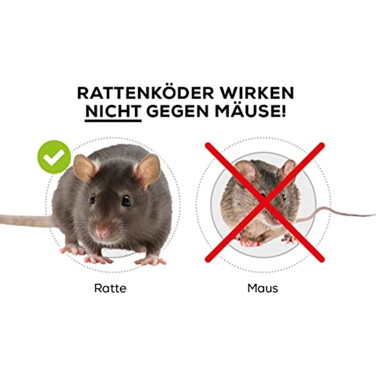 PROTECT HOME Ratten Köderbox für Rattengift, sichere Ausbringung von Rattenködern, schwarz – Bild 6