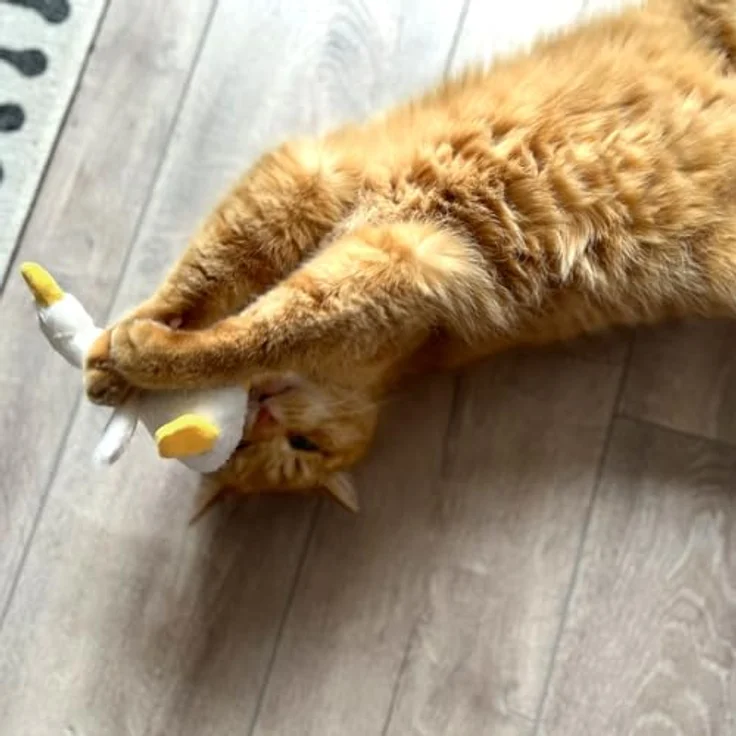 Aumüller Katzenspielzeug mit Baldrian - Gilbert Gans – Bild 3