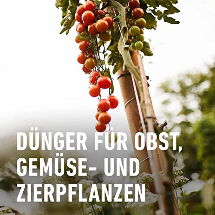 Compo Vital-Turbo, 20 g – Bild 4