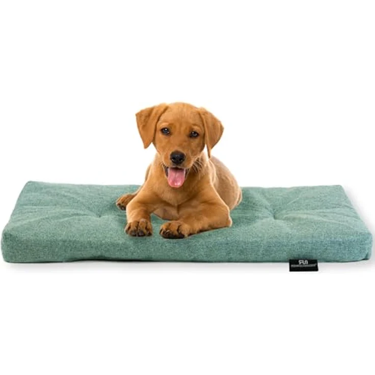 Rohrschneider Hundebett Gr. 2, strapazierfähiges Hundekissen mit Anti-Rutsch, inkl. Futternapf, türkis, 50 x 80 x 7 cm – Bild 1