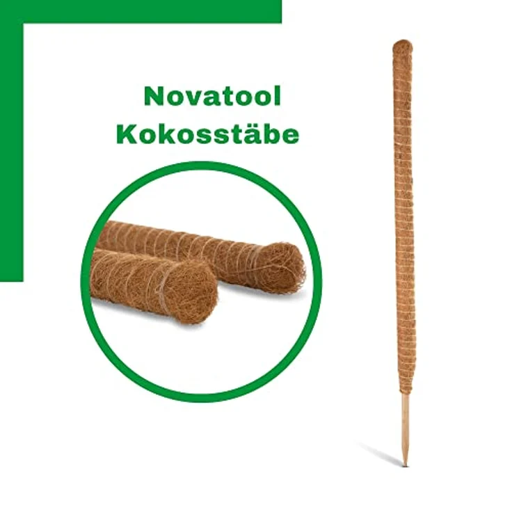 Novatool 4X Kokos Rankstab, 110 cm mit Ø 45mm, verlängerbar, natürliche Kokosfaser, Pflanzenstütze für Zimmerpflanzen und Blumentöpfe – Bild 3