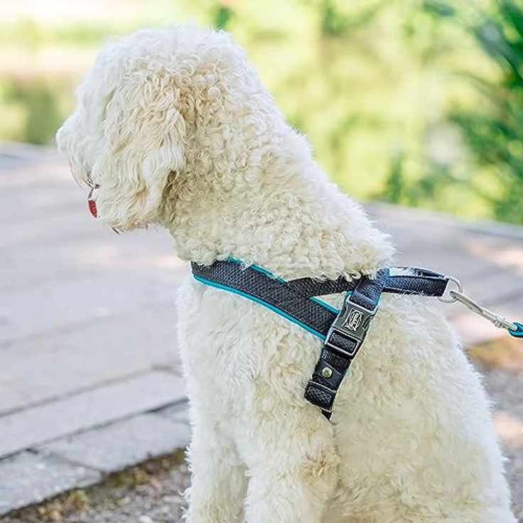 Nobby Norwegergeschirr Mesh Preno, türkis L: 60-76 cm + 46 cm, B: 25/35 mm, 1 Stück – Bild 2