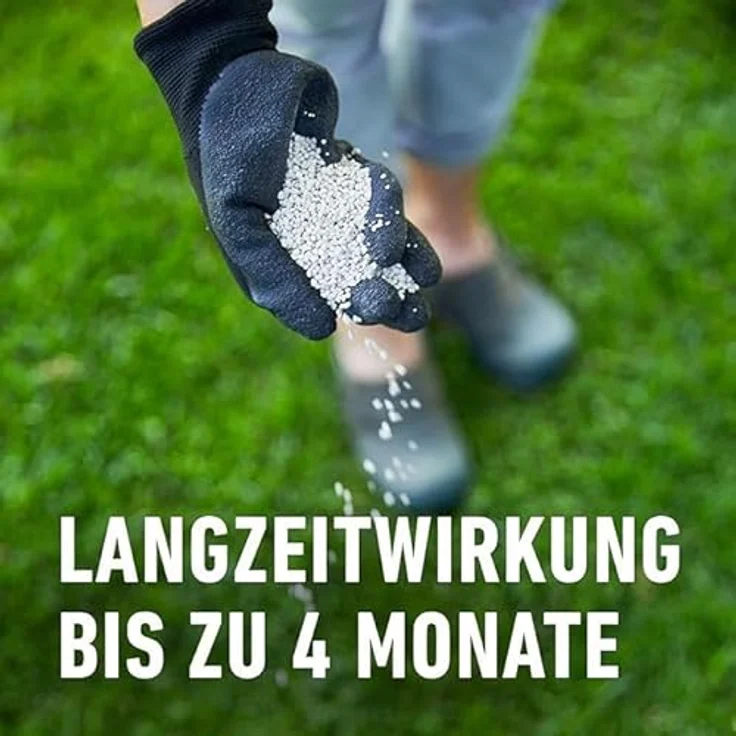 Compo GmbH Rasen Langzeit-Dünger Perfect 1,5 kg für 60 m² – Bild 8
