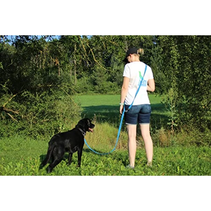 Activity4Dogs Hundeleine Nylon Anti-Slip rutschfest, 2,80 m lang, 4-Fach verstellbar, Multileine, blau, Made IN Germany – Bild 4