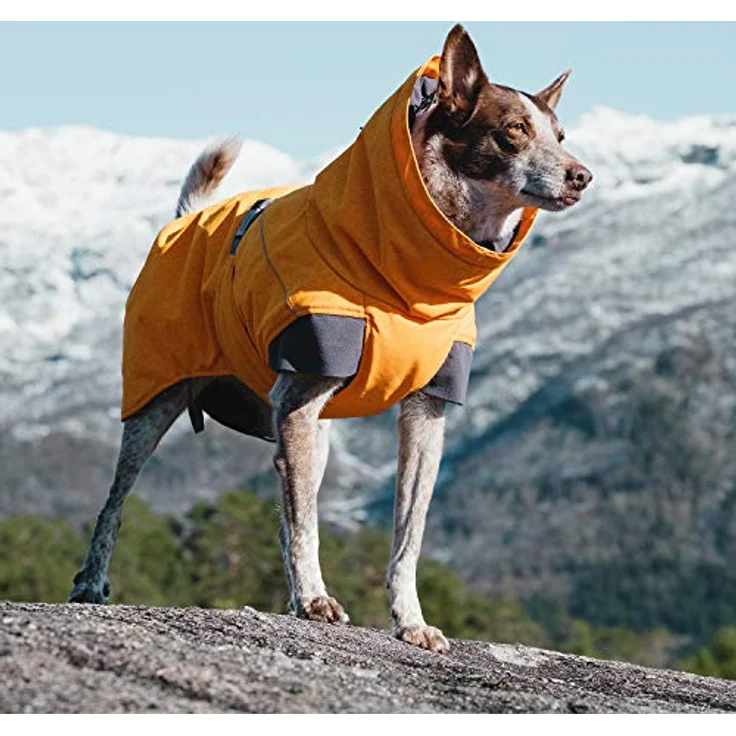 Hurtta Expedition Parka buckthorn, Hundebekleidung für den Winter, wasser- und winddicht, verstellbar – Bild 2