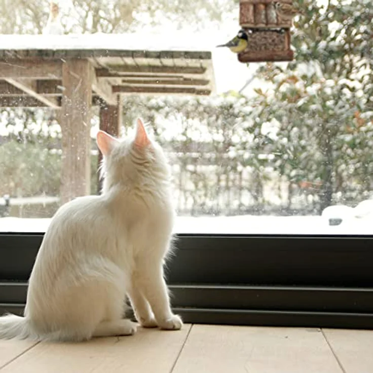 Relaxdays Vogelfutterhaus Holz, zum Aufhängen, HBT: 17 x 15 x 12 cm, mit Silo, Vogelfutterspender für Kleinvögel, Natur – Bild 5