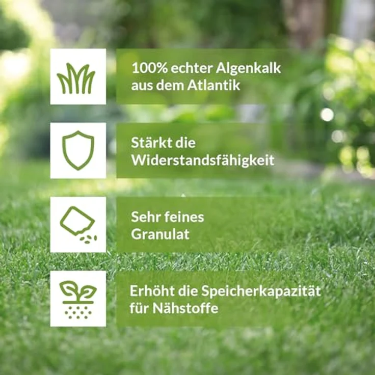 TerraDomi 25kg Algenkalk 100% echter Meereskalk zur Stärkung der Widerstandsfähigkeit – Bild 3