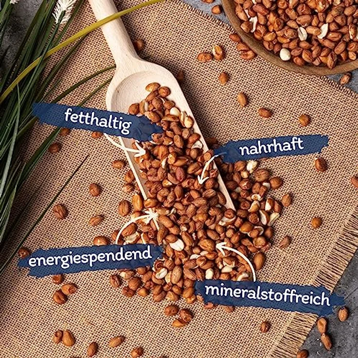 Lyra Pet® | 10 kg Erdnusskerne mit Haut | Vogelfutter für das Ganze Jahr | Naturbelassenes Streufutter | Energiequelle für Wildvögel | Erdnüsse ohne Schale | Proteinreich & Ölhaltig | Gartenvögel – Bild 2