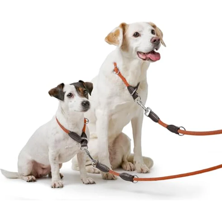 HUNTER Verstellbare Führleine Freestyle (orange, 08/200) 3-fache Verstellmöglichkeit, strapazierfähiges Polyamid – Bild 5