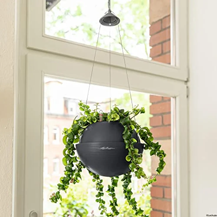 LECHUZA BOLA Color 32 schiefergrau 16864 – Bild 5
