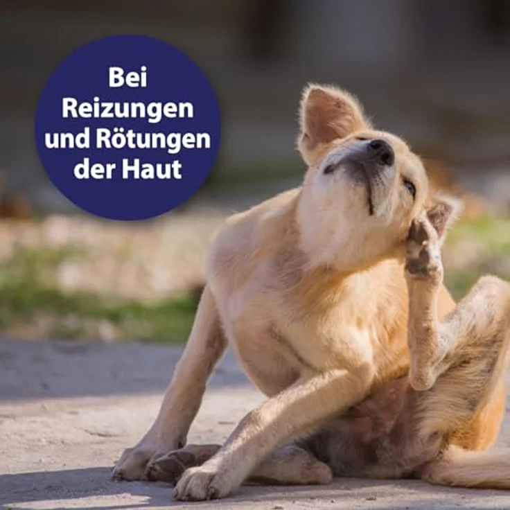 Canosept Hautpflege Spray für Hunde, 250ml - Regenerierende Lotion gegen Juckreiz und Hautreizungen, natürliche Wirkstoffe – Bild 2