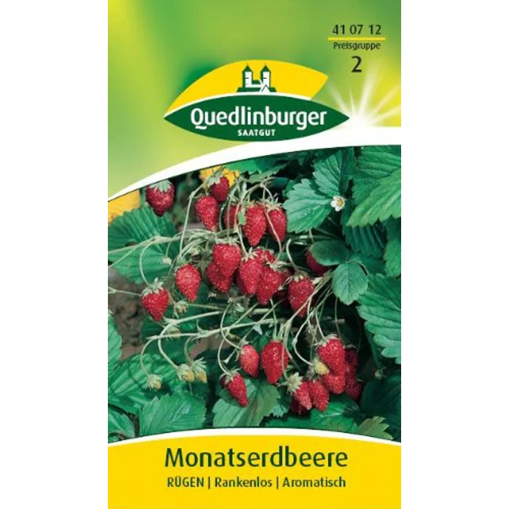 QUEDLINBURGER Monatserdbeere, Rügen – Bild 2