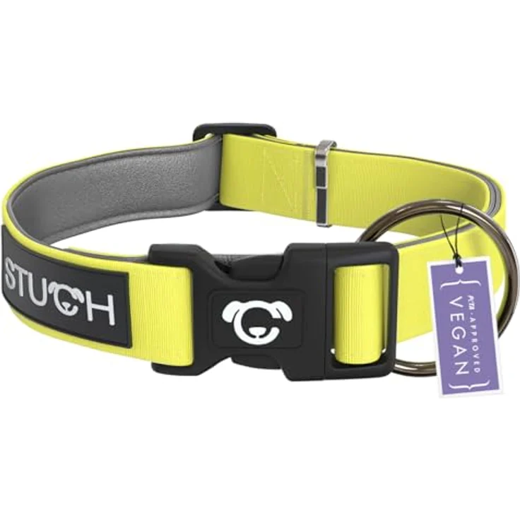 STUCH Hundehalsband - verstellbares und gepolstertes Nylon Halsband für kleine, mittlere und große Hunde, Lime, Größe S (1,5cm x 28-45cm) – Bild 1