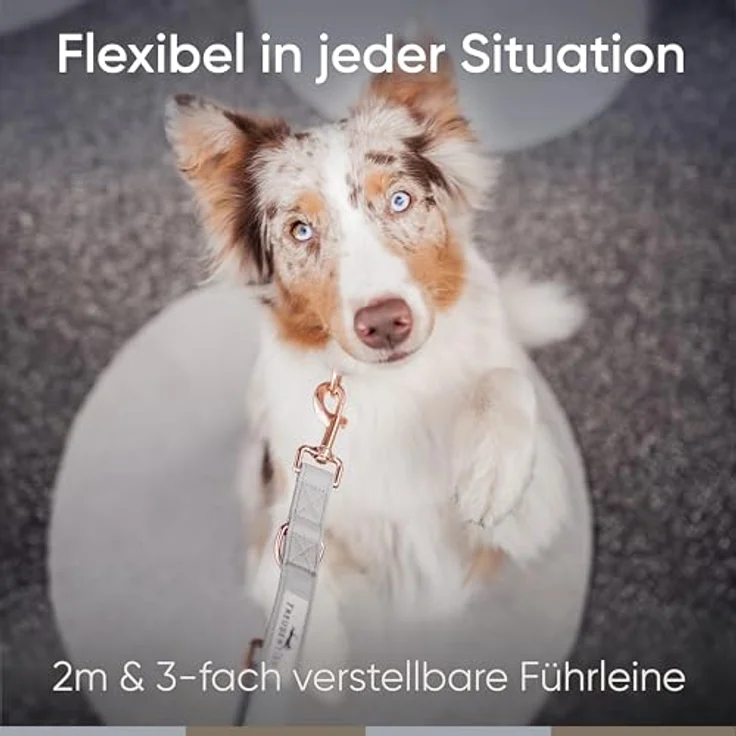 FREUDENTIER® Hundeleine aus veganem Leder - 3-Fach verstellbar, 2m, Hyde Park Kollektion 2.0, 20mm - Braun – Bild 2